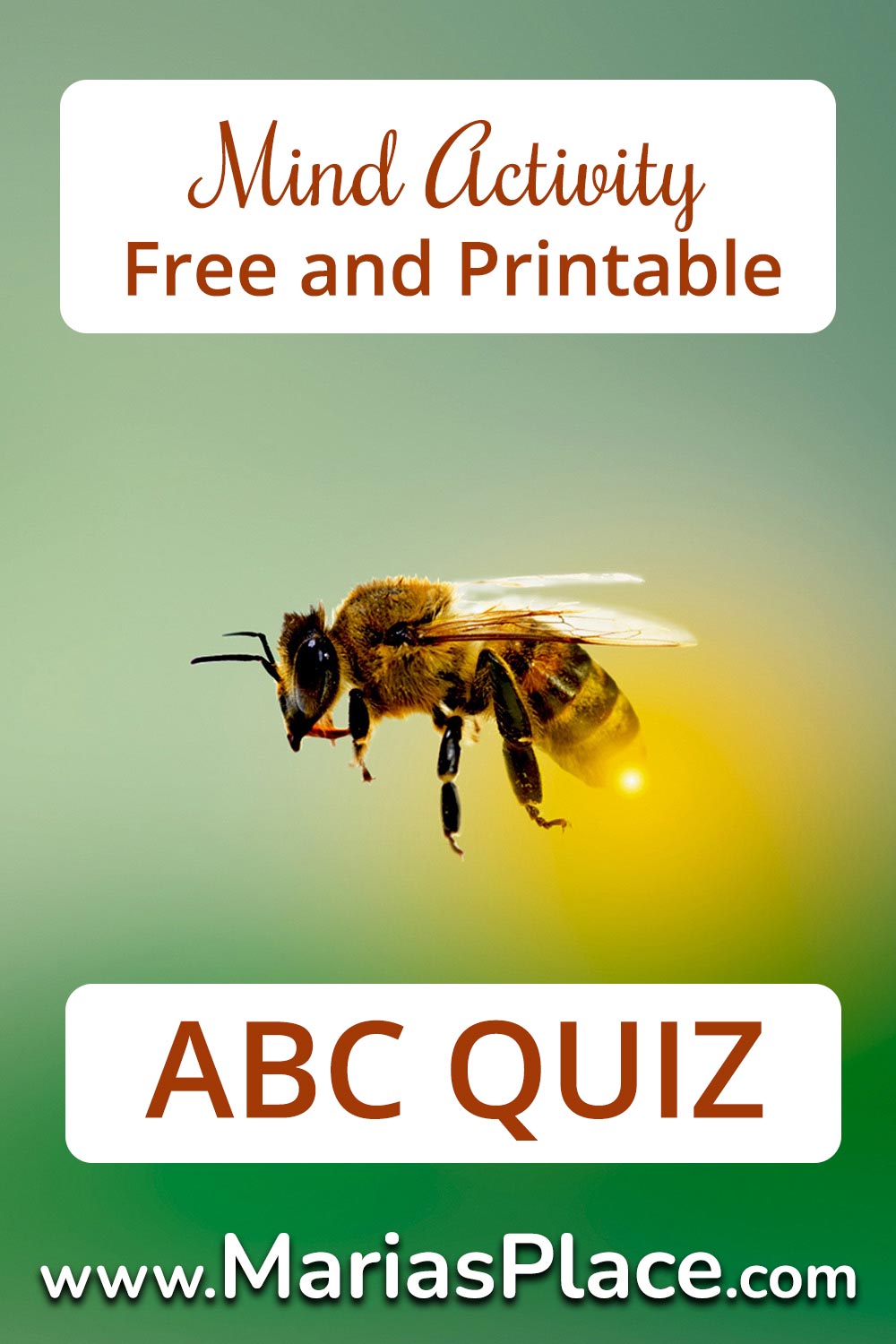 ABC Quiz #7