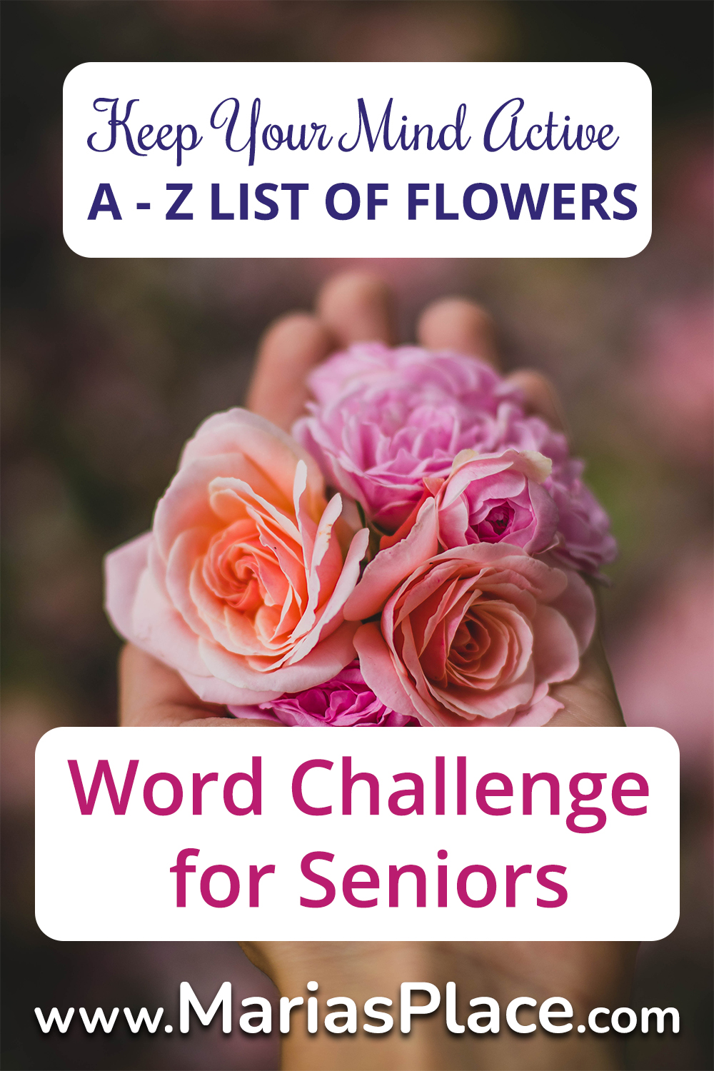 Alphabet Word Game #2:  Flowers