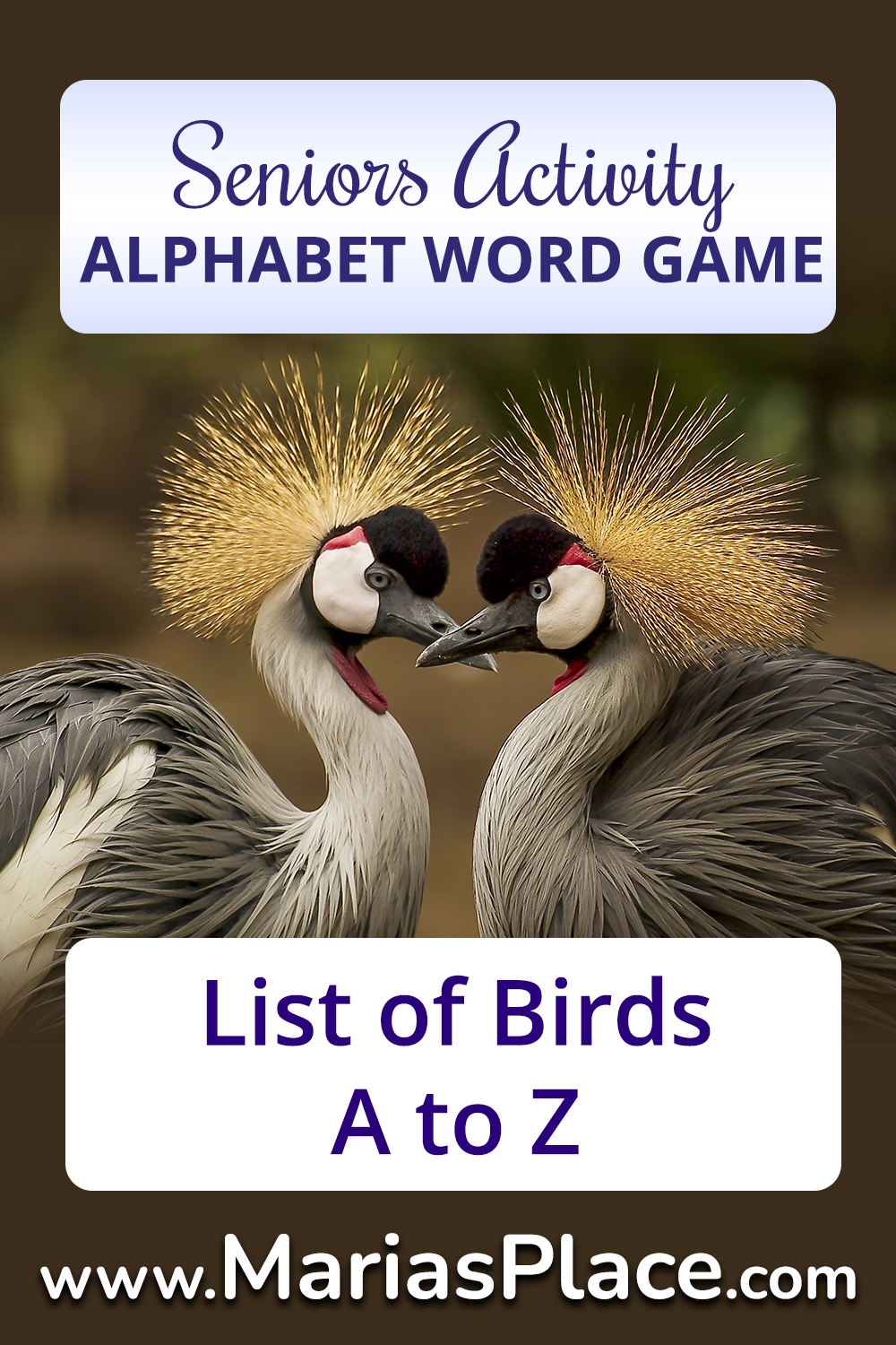 Birds, Examples from A to Z