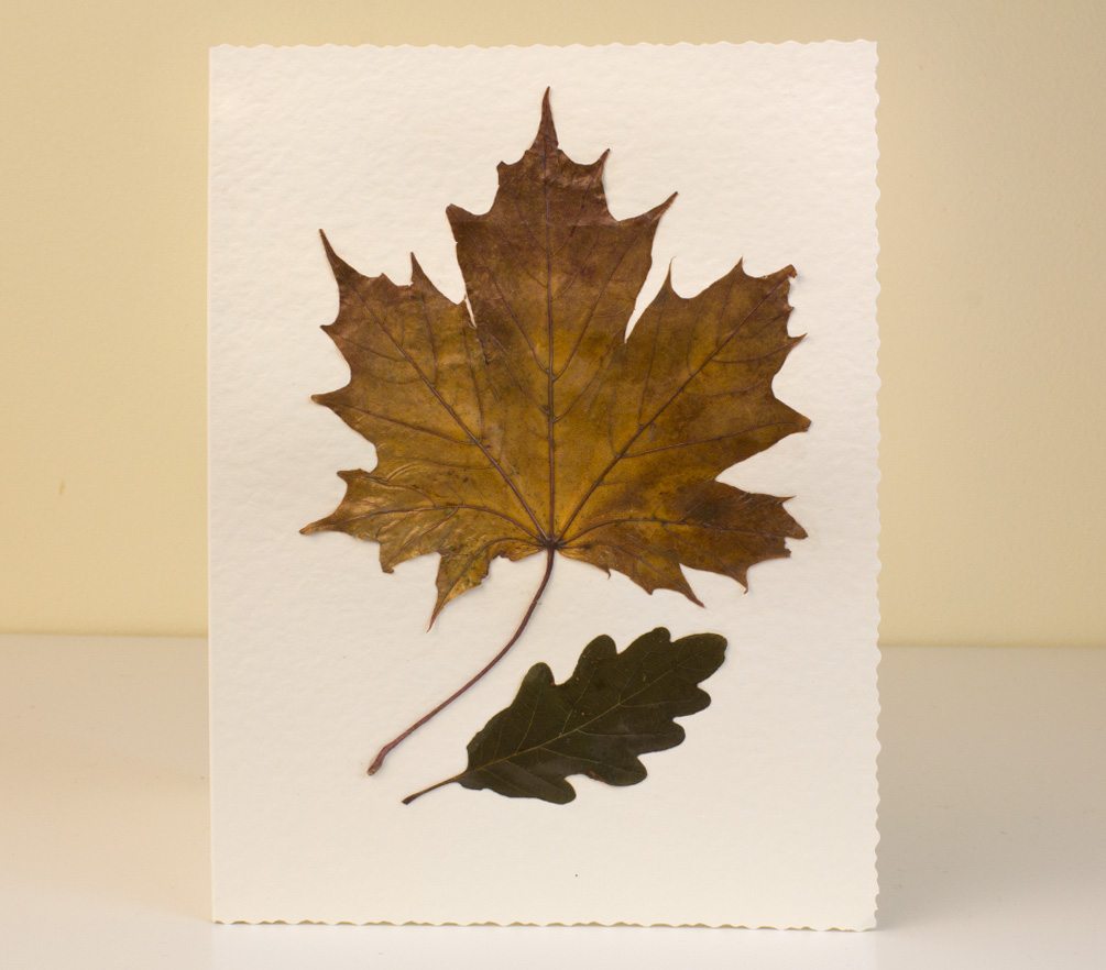 Greeting Cards With Pressed Leaves