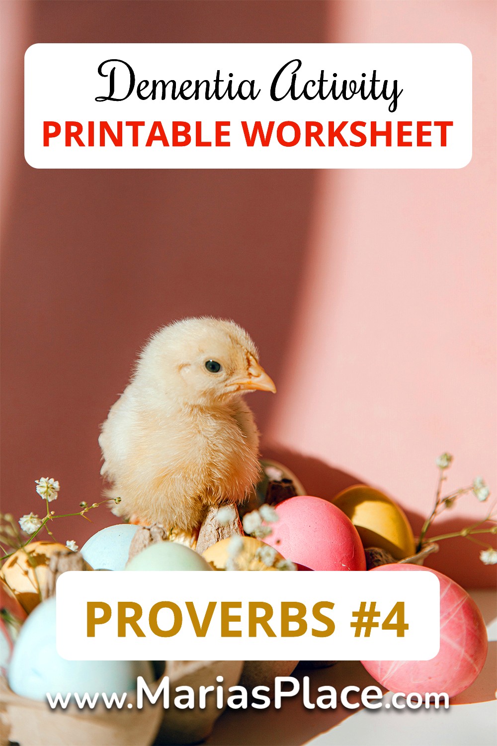 proverbs quiz