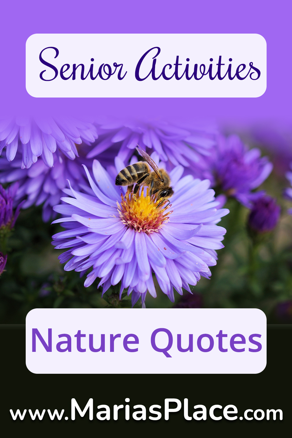 nature quotes