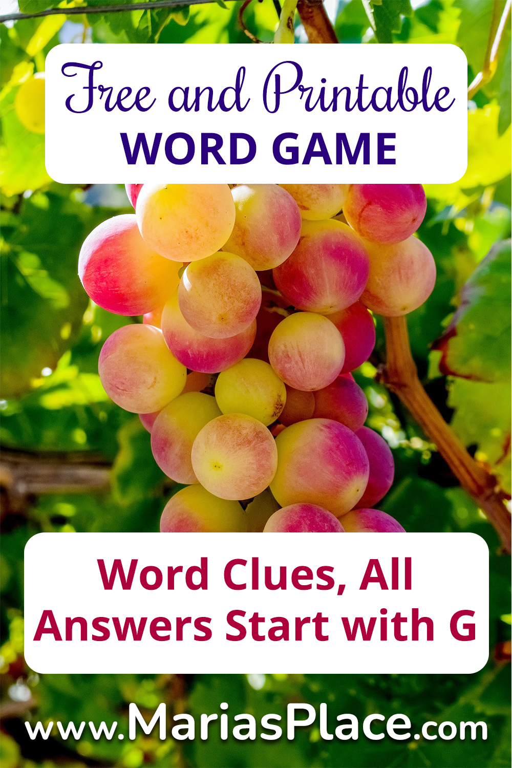starts with the letter g