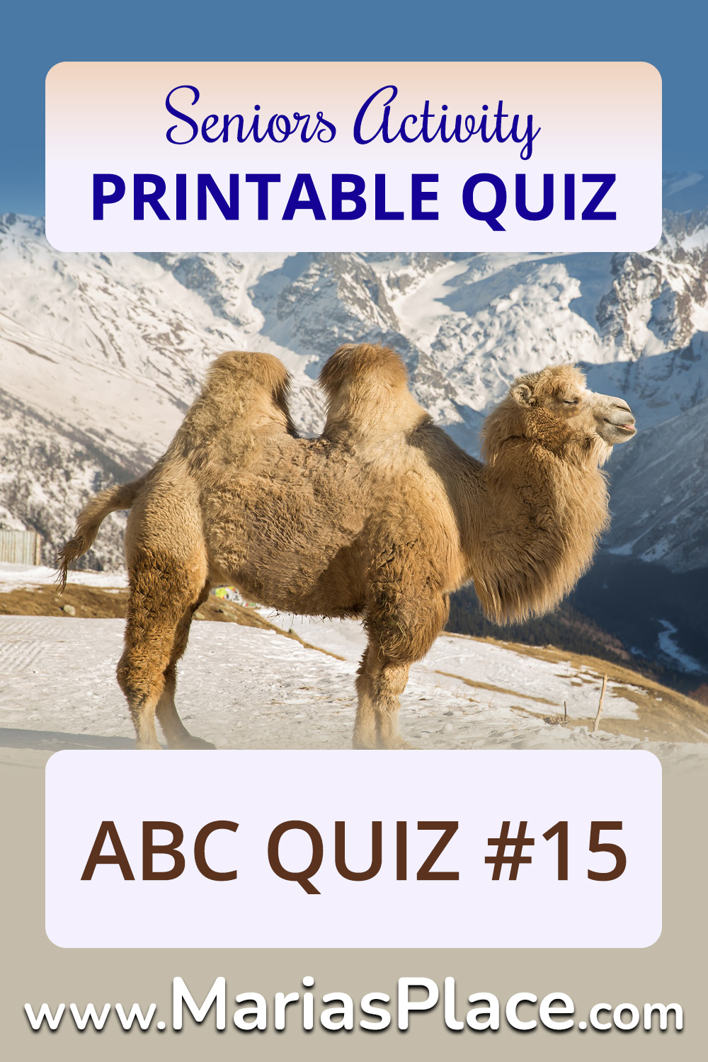 ABC Quiz #15