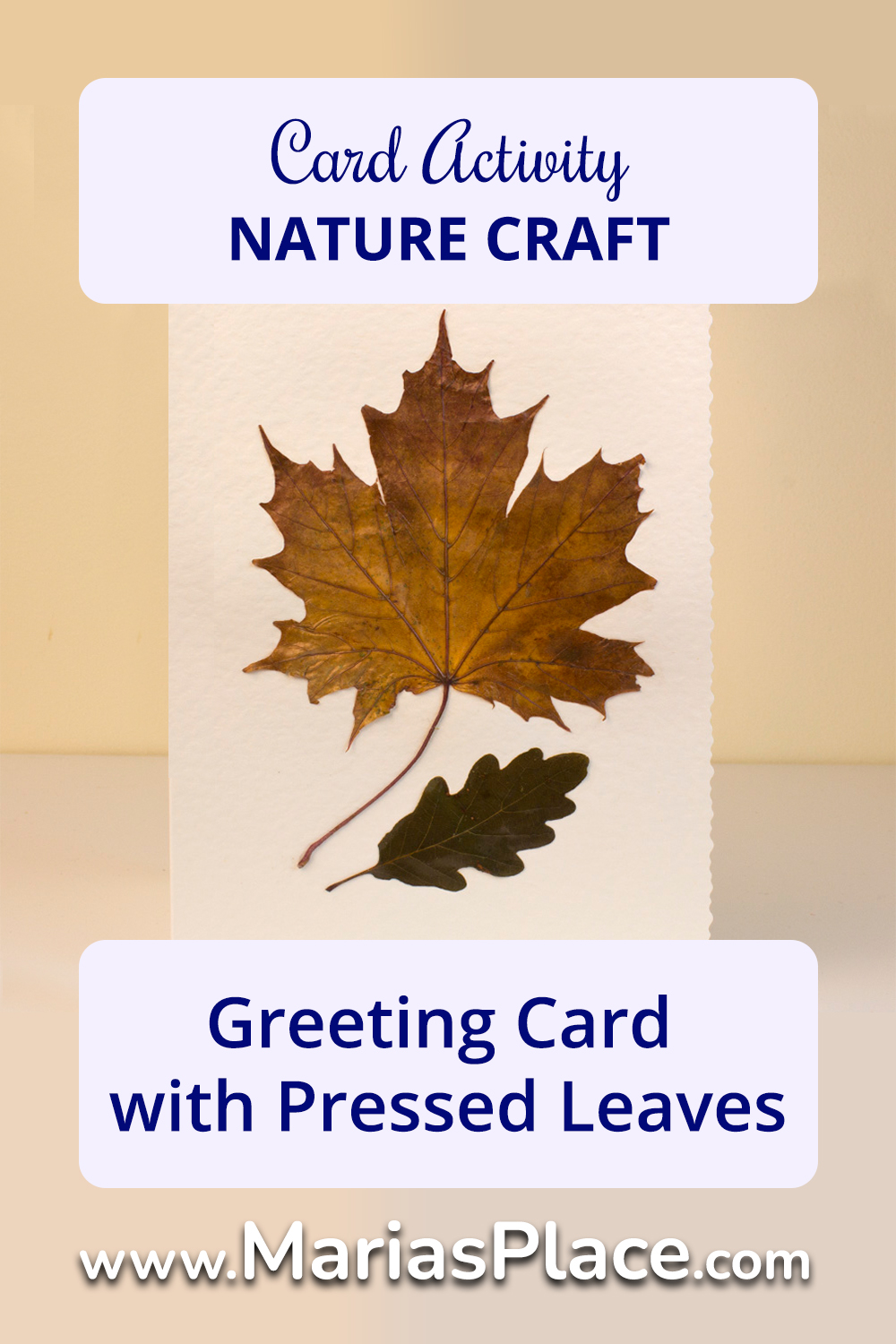 Greeting Cards with Pressed Leaves
