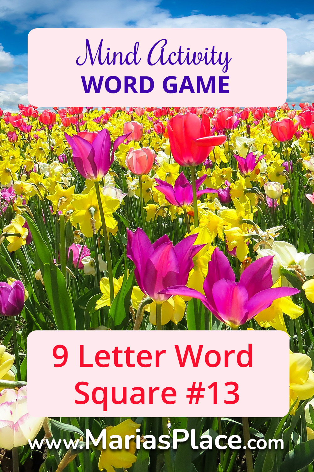 9 Letter Word Square, # 13