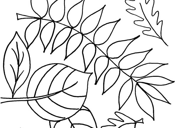 Coloring - Leaves - Marias Place