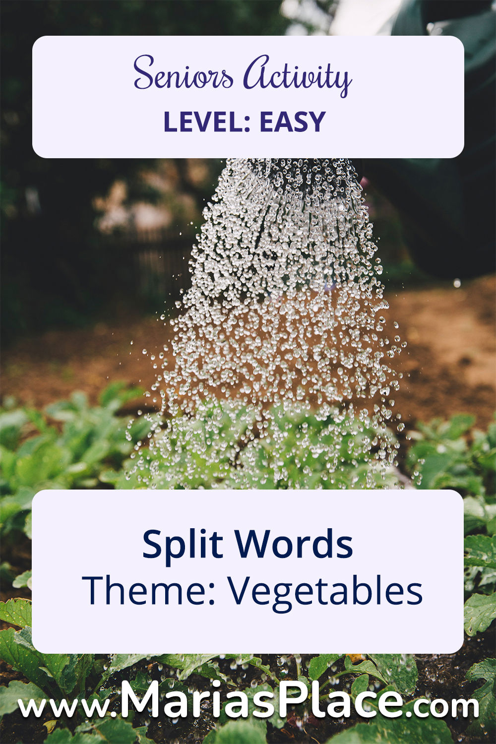 Split Words, Vegetables