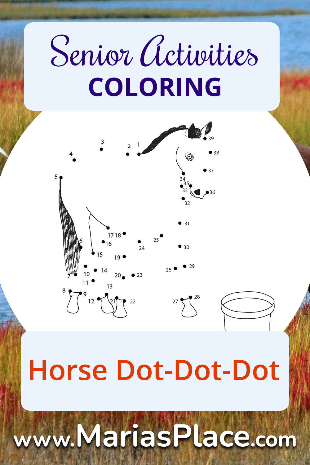Dot-to-Dot, Horse