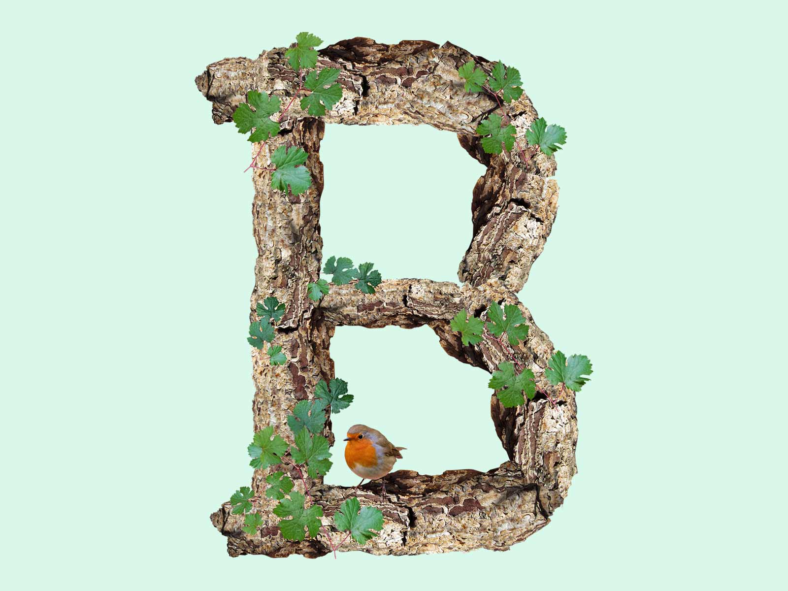 Printable Worksheet Letter B Marias Place