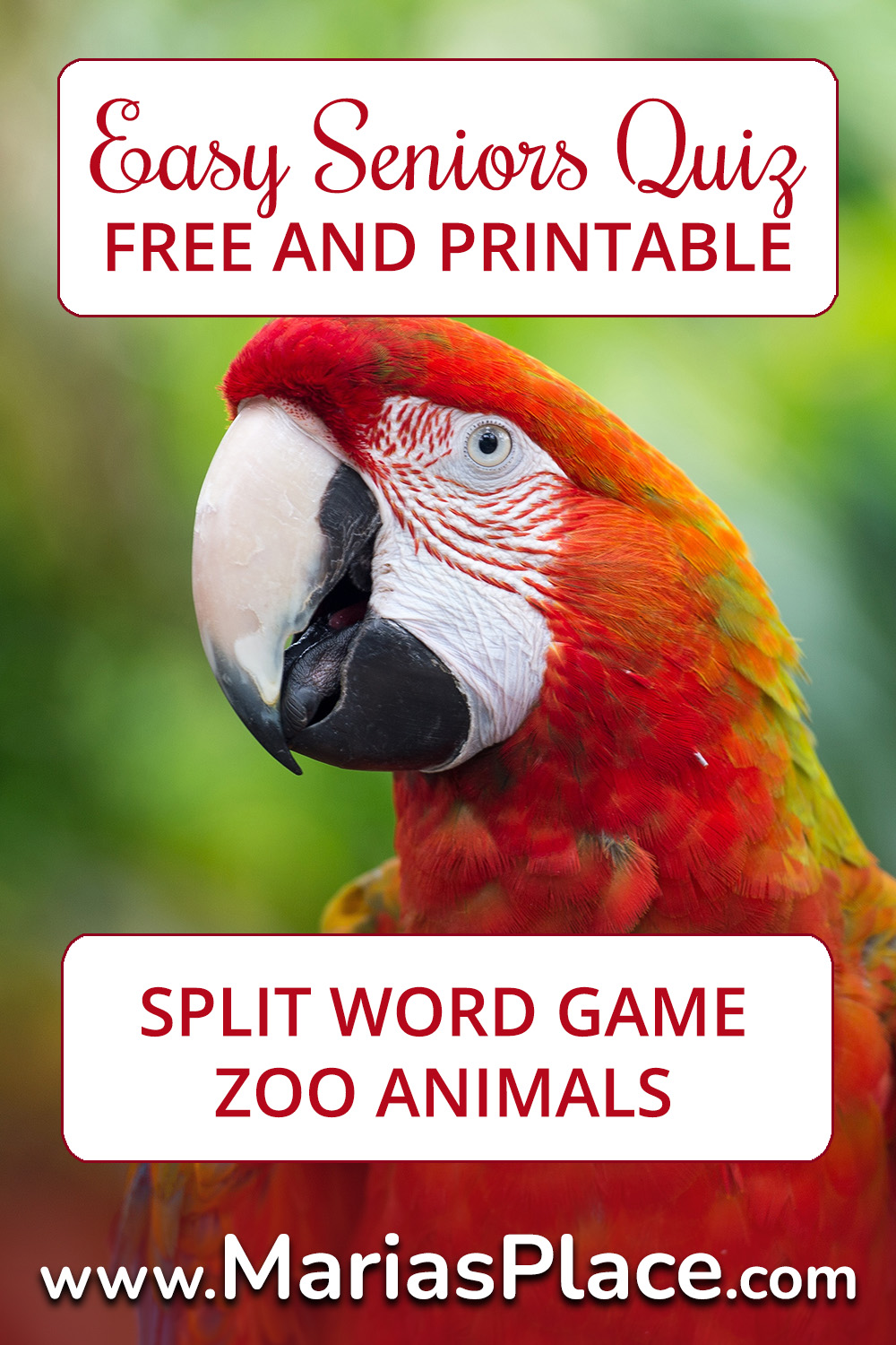 split words, zoo animals