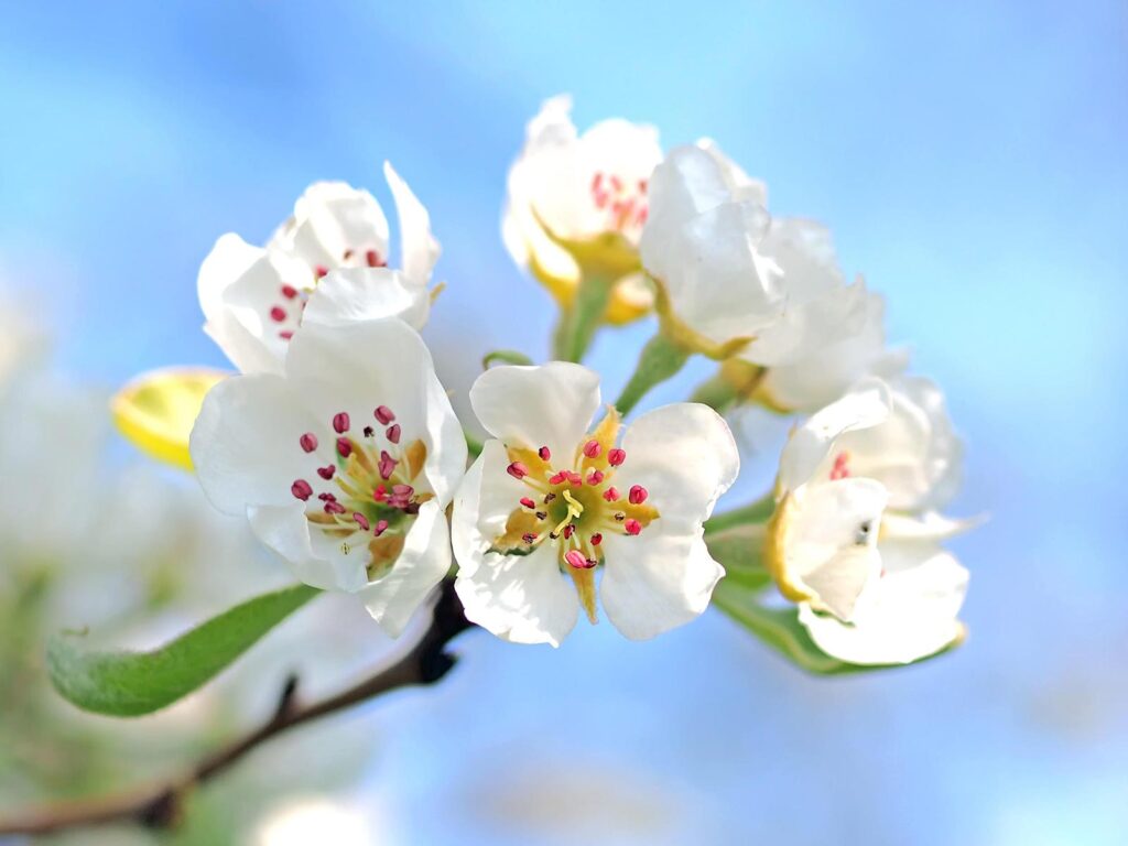 Spring, coloring and creative writing for older adults Marias Place