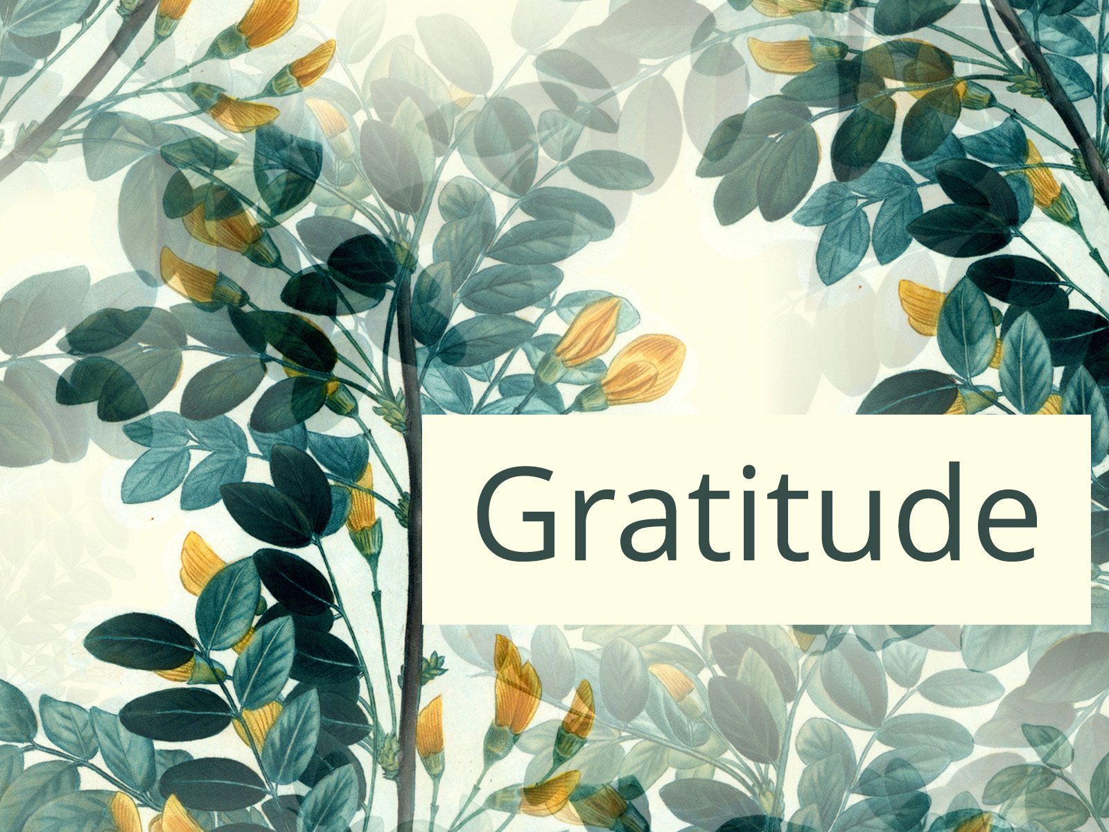Gratitude Journal
