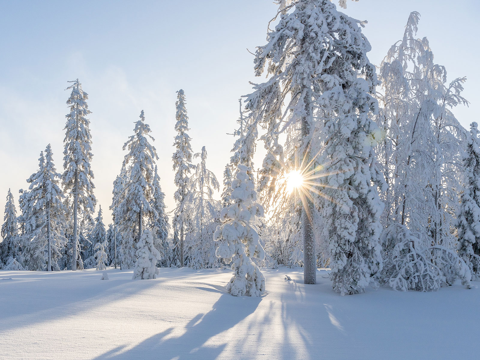 winter quiz