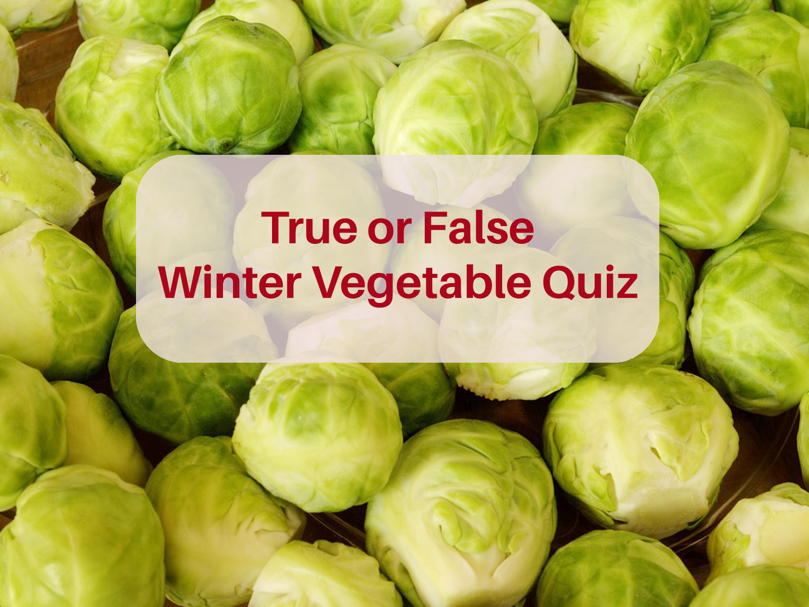 True or false winter vegetable quiz