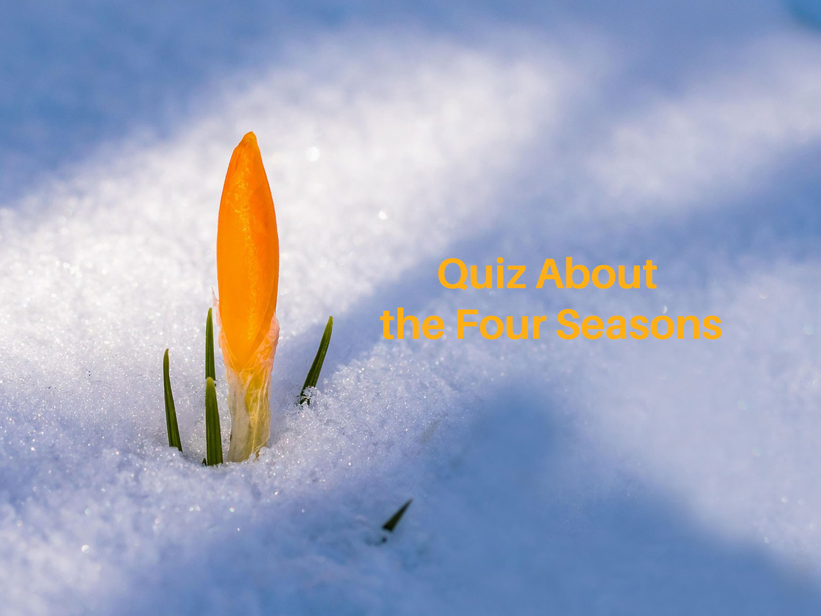 Seasons of the year quiz