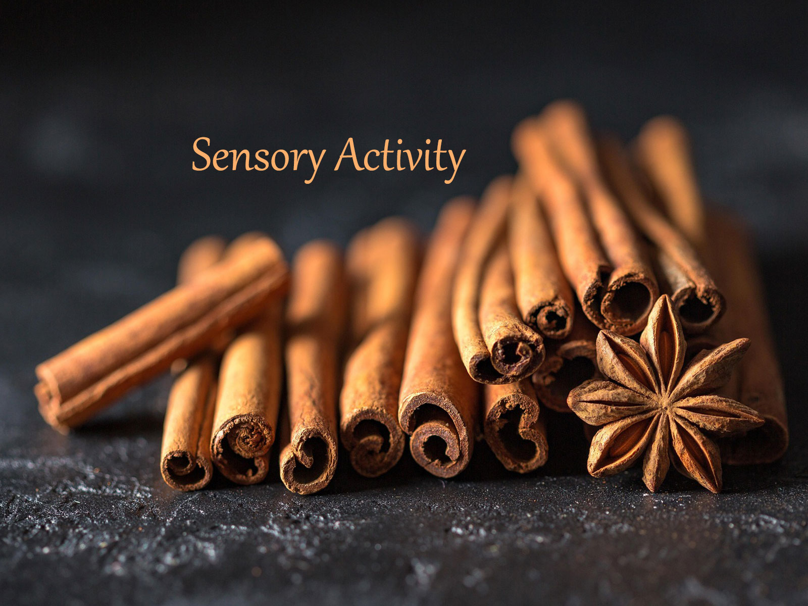 sensory activities for seniors